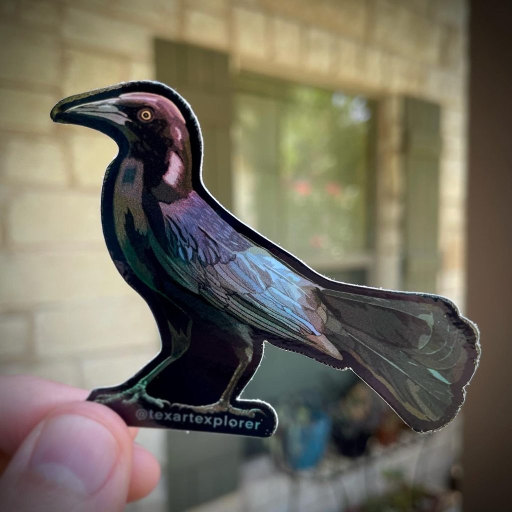 2” Grackle